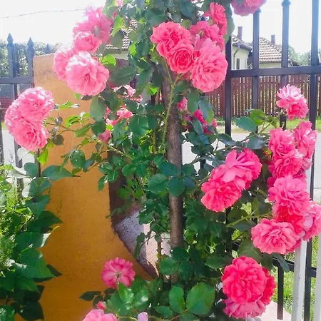 Casa Emilia * Baia de Fier